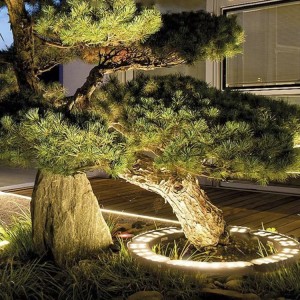 Outdoor water proof LED strip lights Decorative Factory Price |Huajun