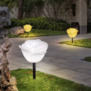 Rose Twinkle lights in courtyard preferential price|Huajun